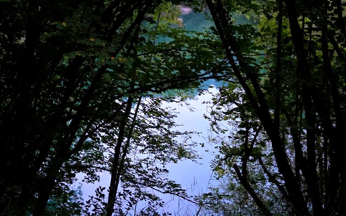 La presa de Aixola entre los árboles, con la niebla asomando sobre el agua