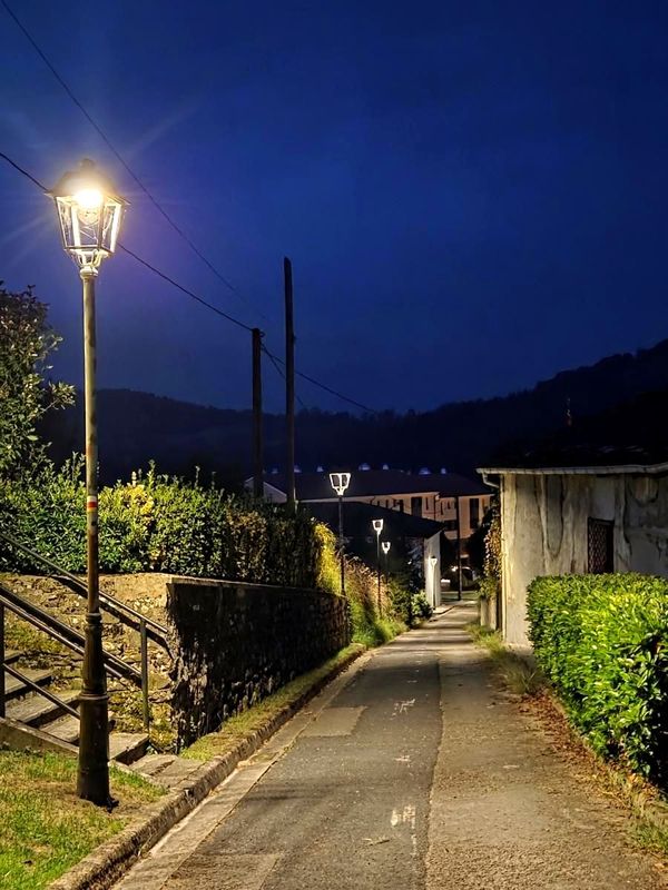 Farola encendida junto a una calle de un barrio, ya de noche