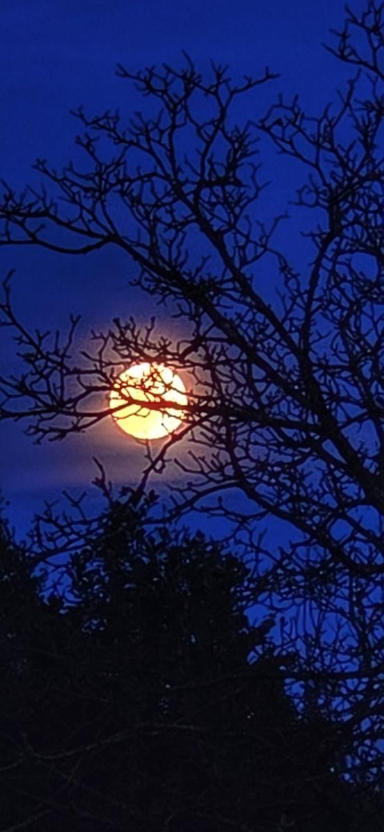 Luna llena entre las ramas, de vuelta en Trabakua al cierre del circuito