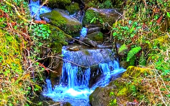 Arroyo entre el bosque durante la subida hacia San Kristobal, ruta de Zenarruza