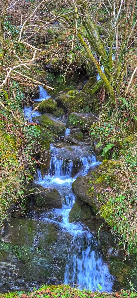 Arroyo entre el bosque durante la subida hacia San Kristobal, ruta de Zenarruza