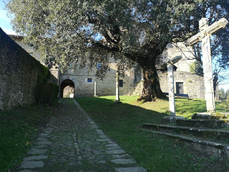 Camino empedrado hacia el Monasterio de Zenarruza, con un gran roble y un crucero de piedra