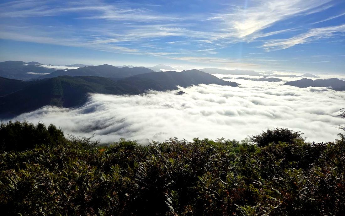 Mar de nubes visto desde la parte alta de Zengotita