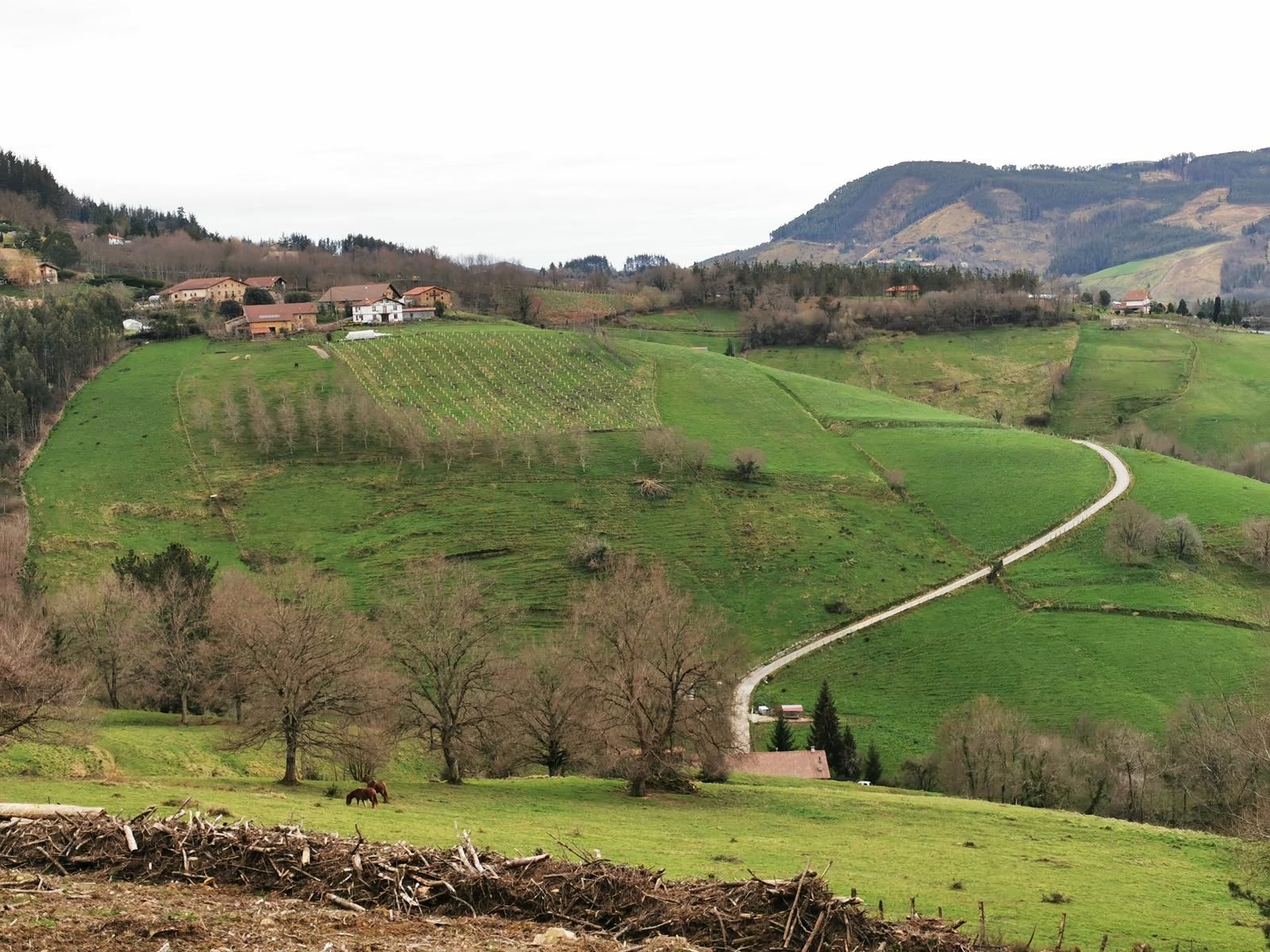 Vista panor&aacute;mica del valle con caser&iacute;os, un caballo pastando y una pista de hormig&oacute;n