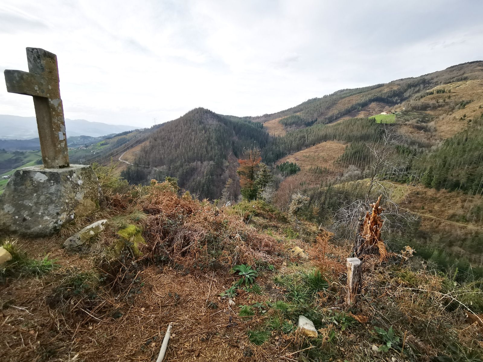 Cruz de piedra con vistas al valle, con claros de bosque talado al fondo